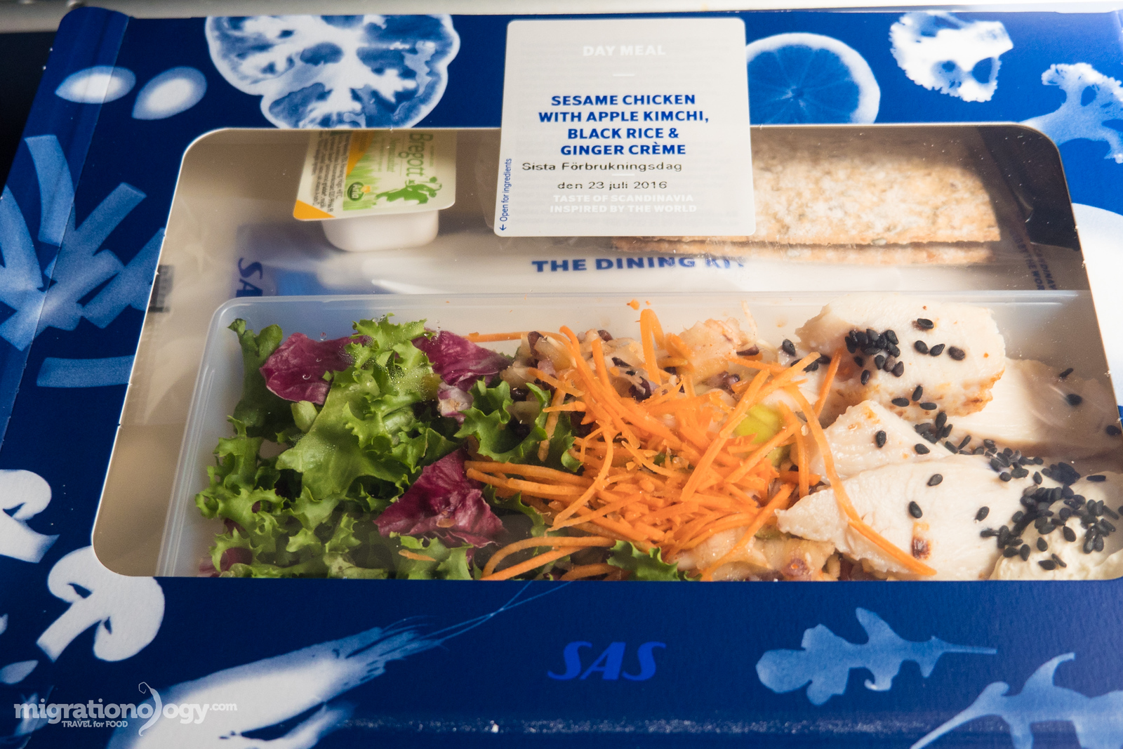 Scandinavian Airlines (SAS)
