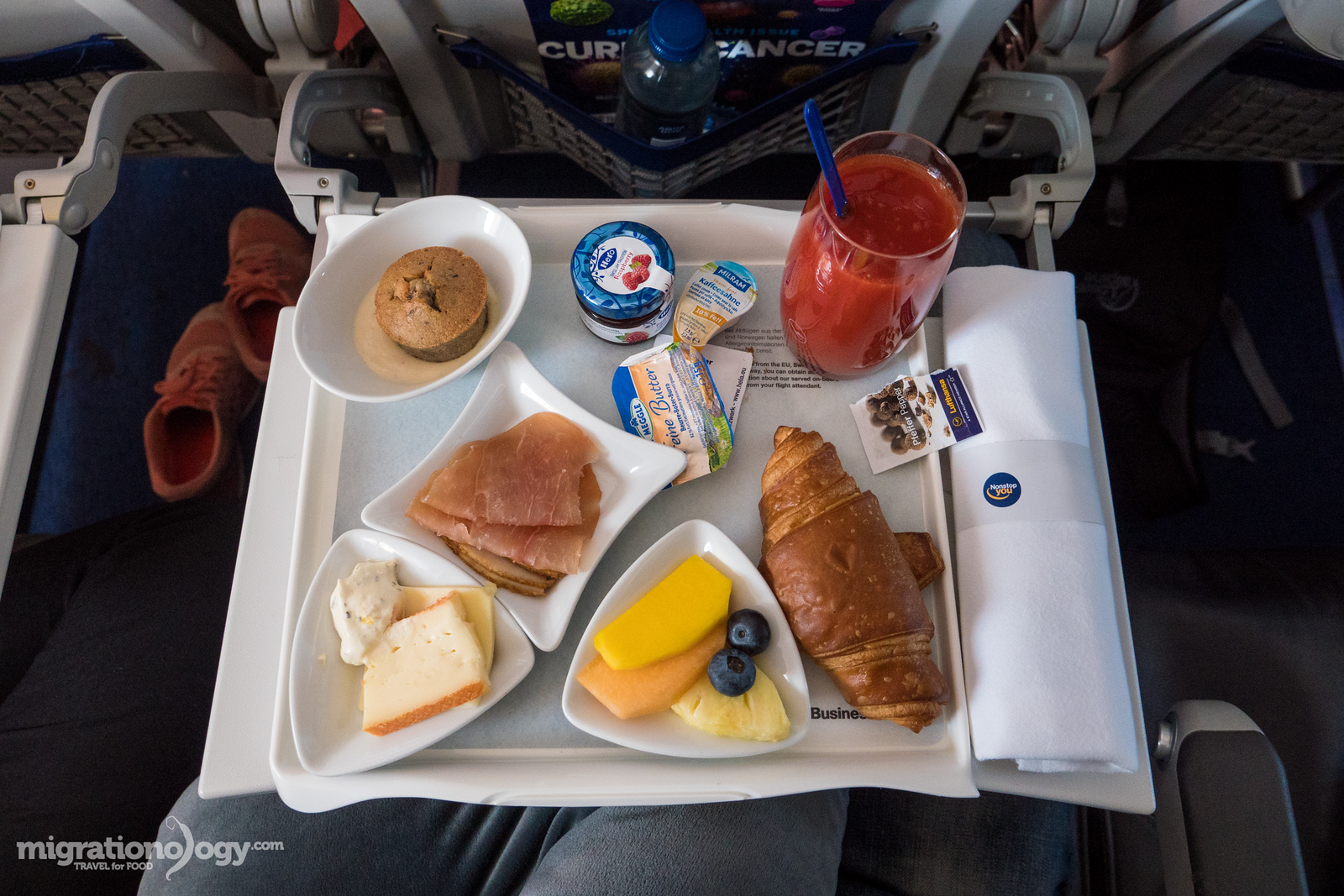Lufthansa Airlines