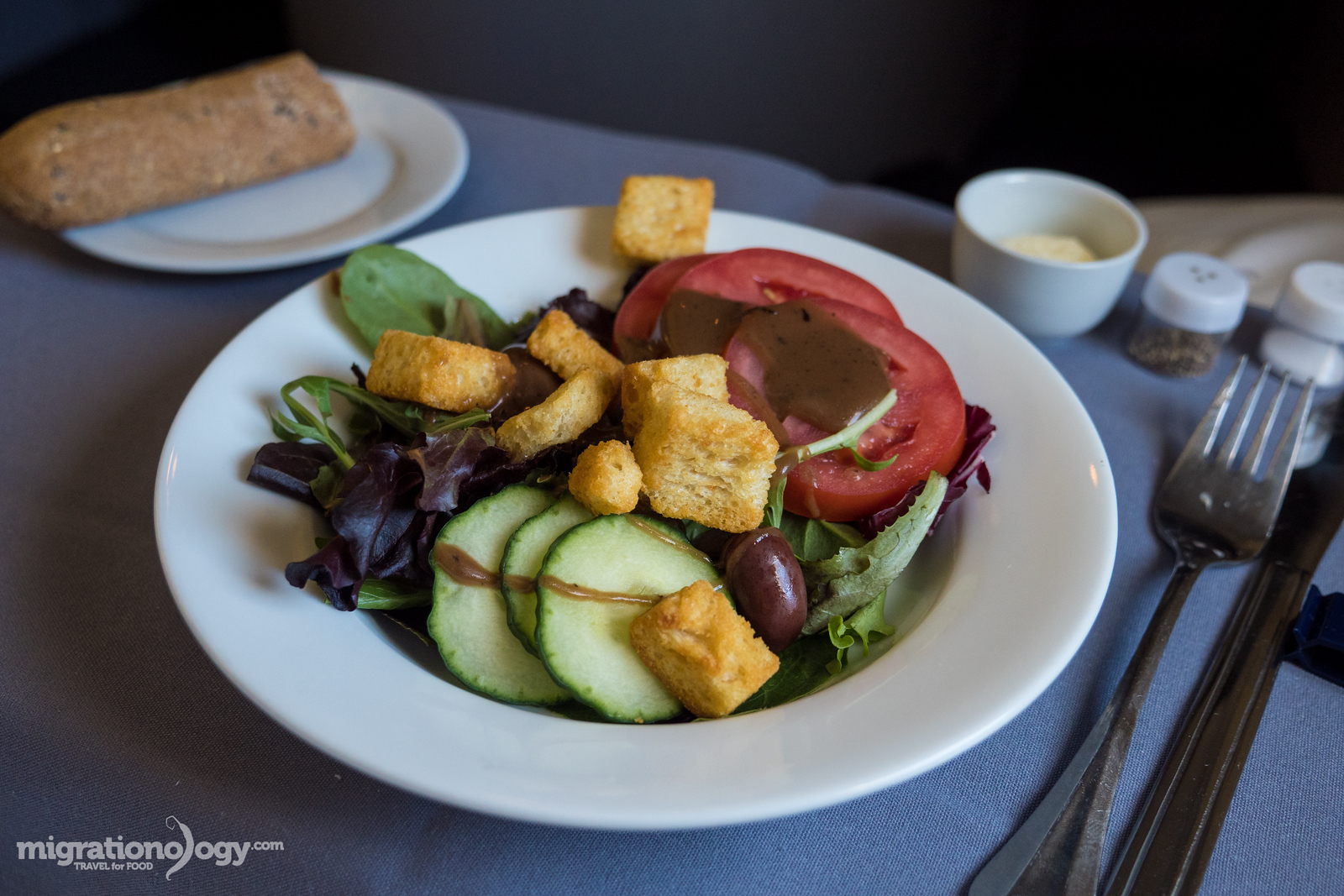 best airplane food