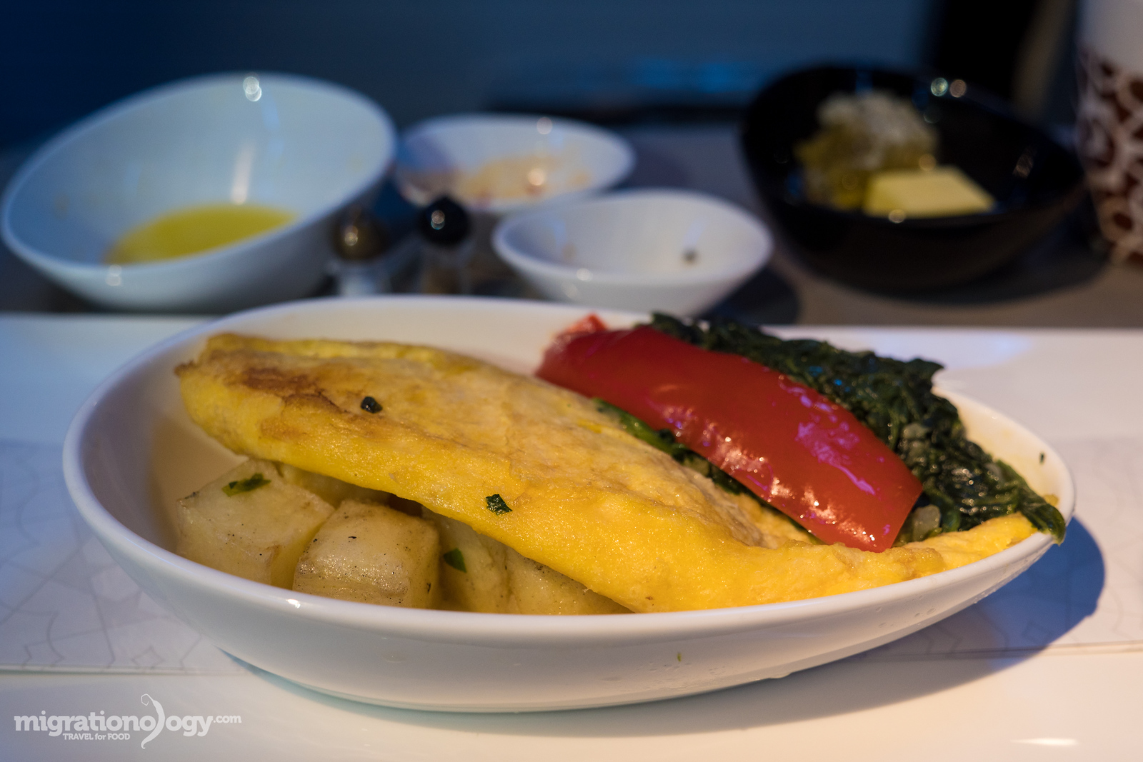 Airplane food