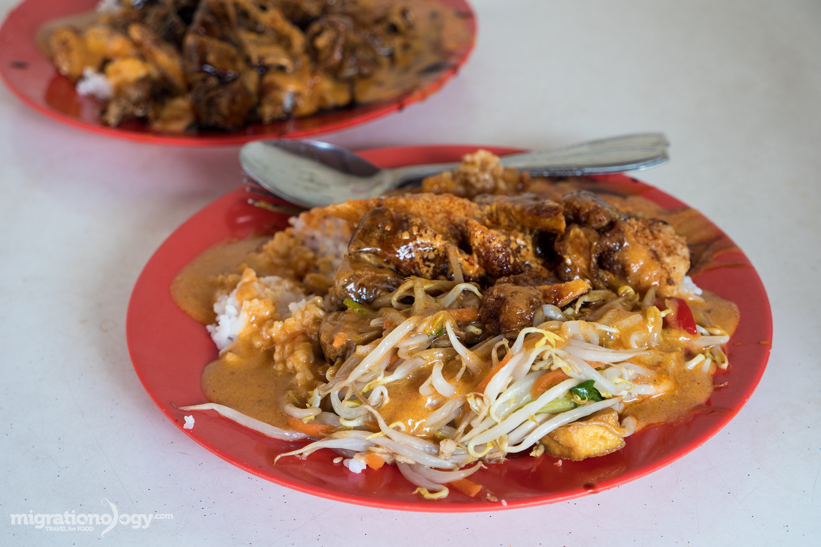 Hainanese curry rice