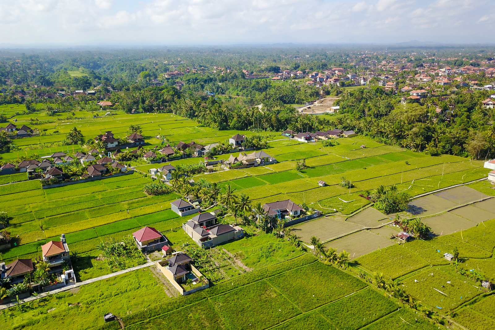 Bali