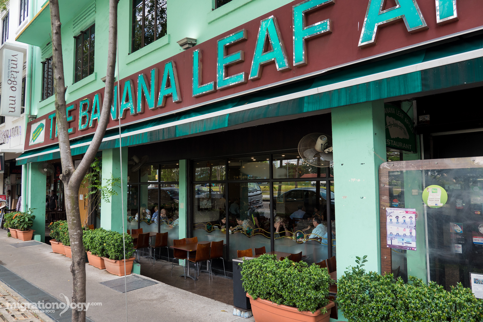 The Banana Leaf Apolo