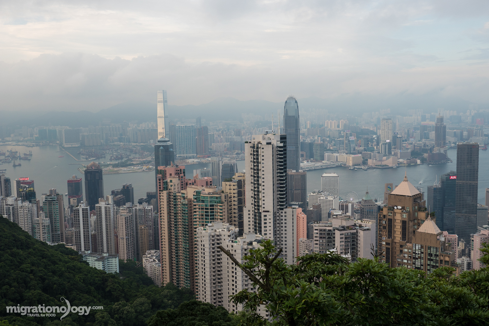 Things to do in Hong Kong