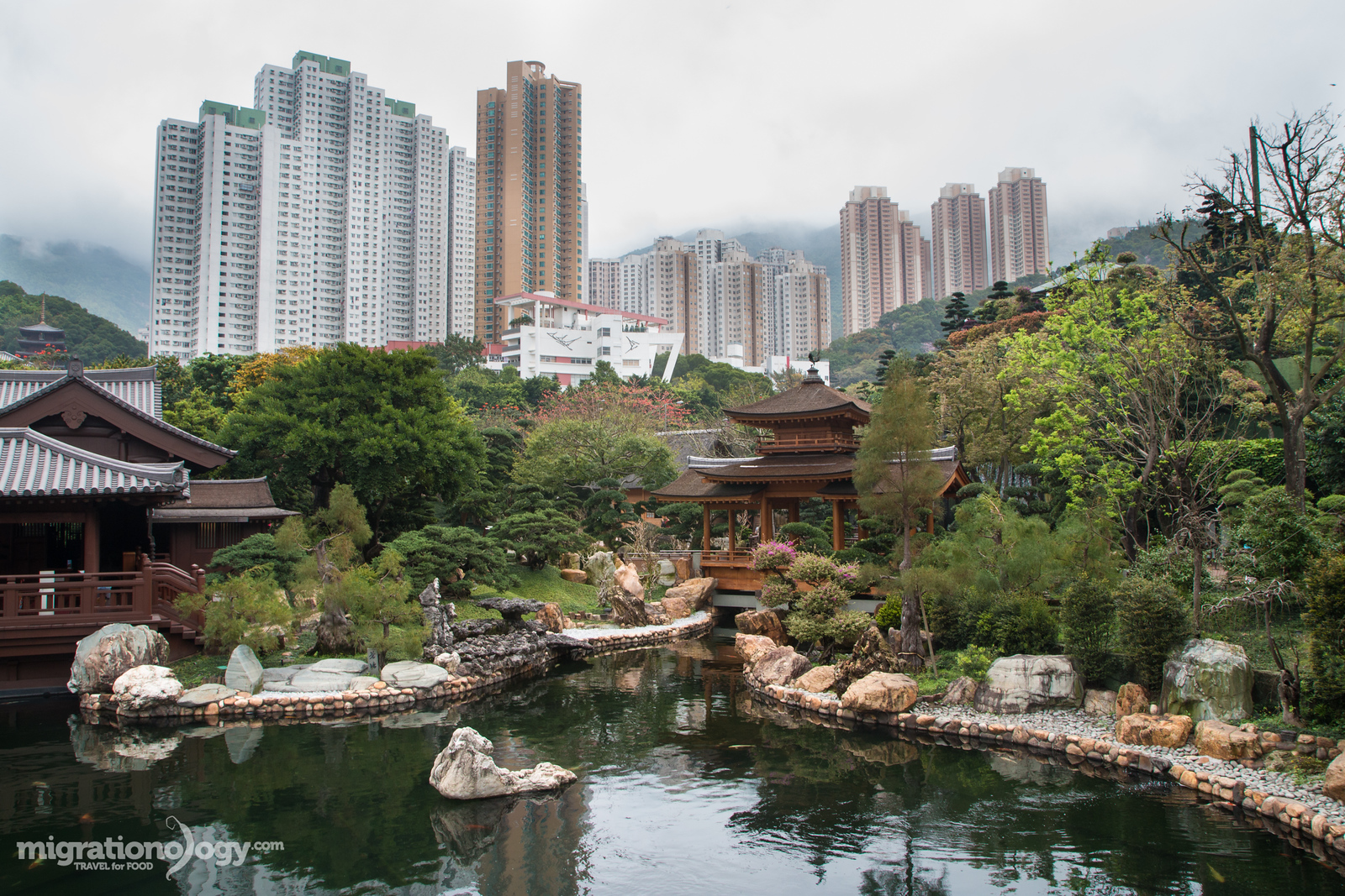 Nan Lian Garden, Hong Kong