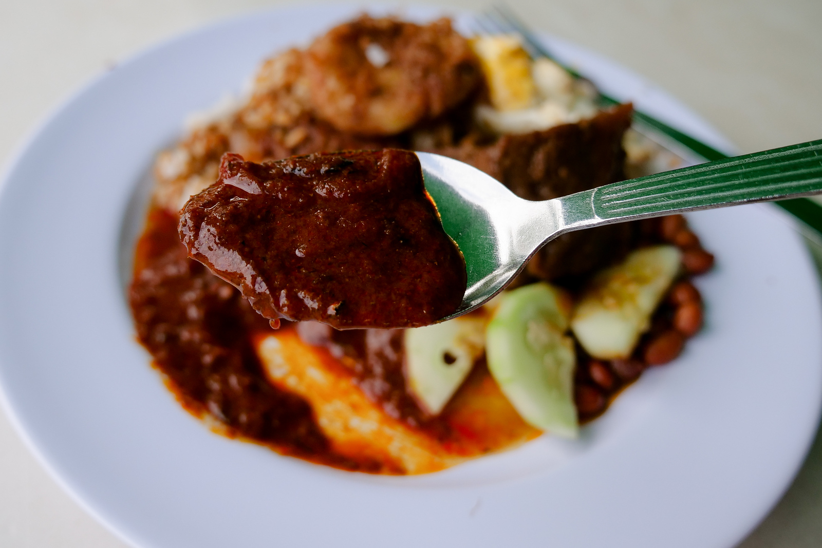 Amazing Nasi Lemak and thick curry at Tanglin