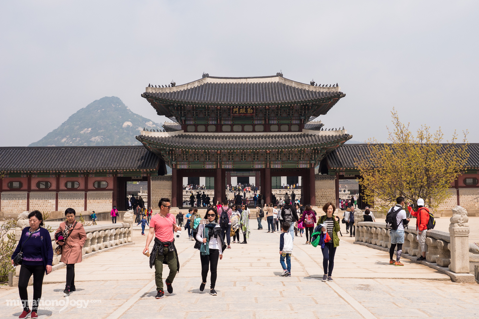 Seoul_travel_guide