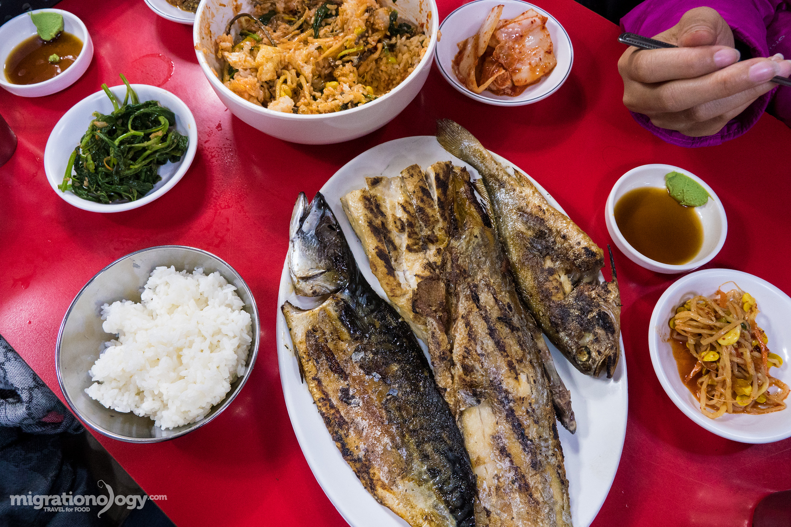 Seoul travel guide