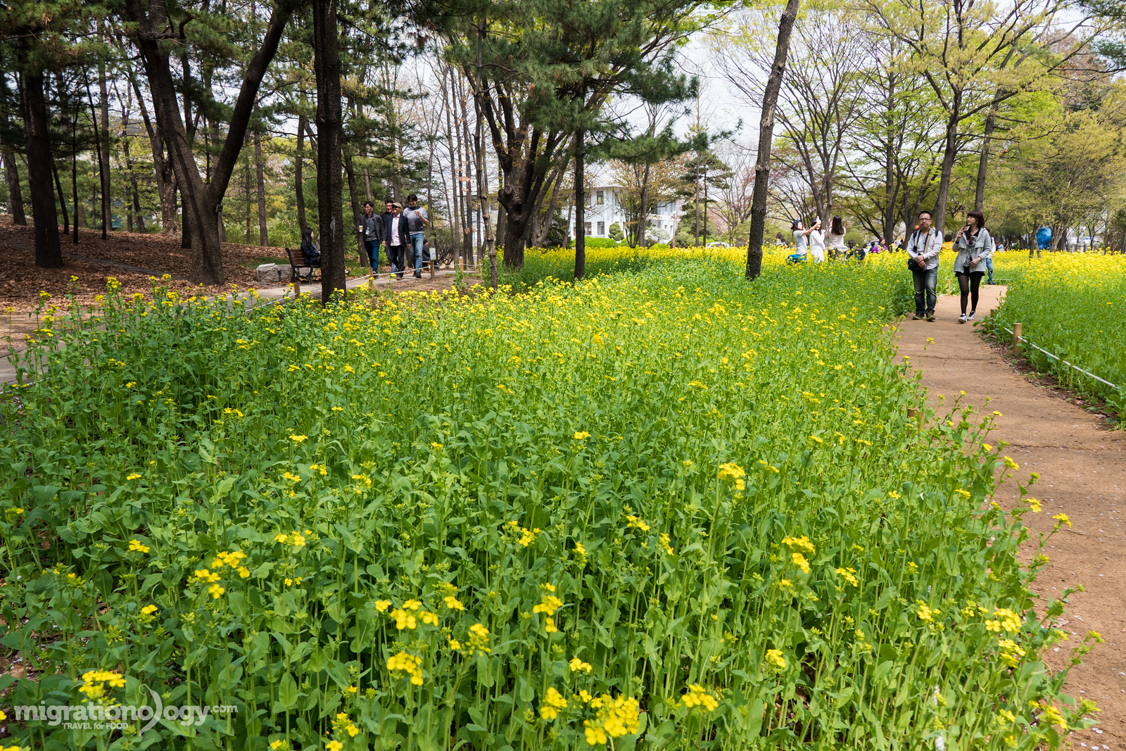 Seoul parks
