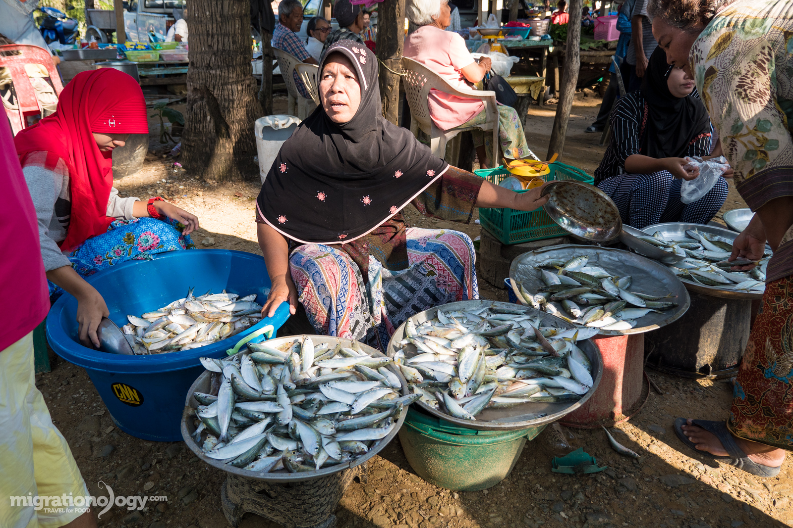 fish being sold at the market