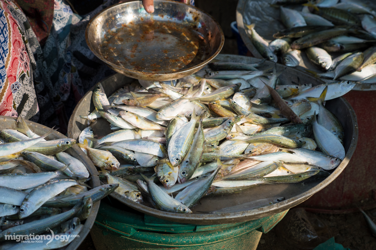 Thai fish market in Sichon
