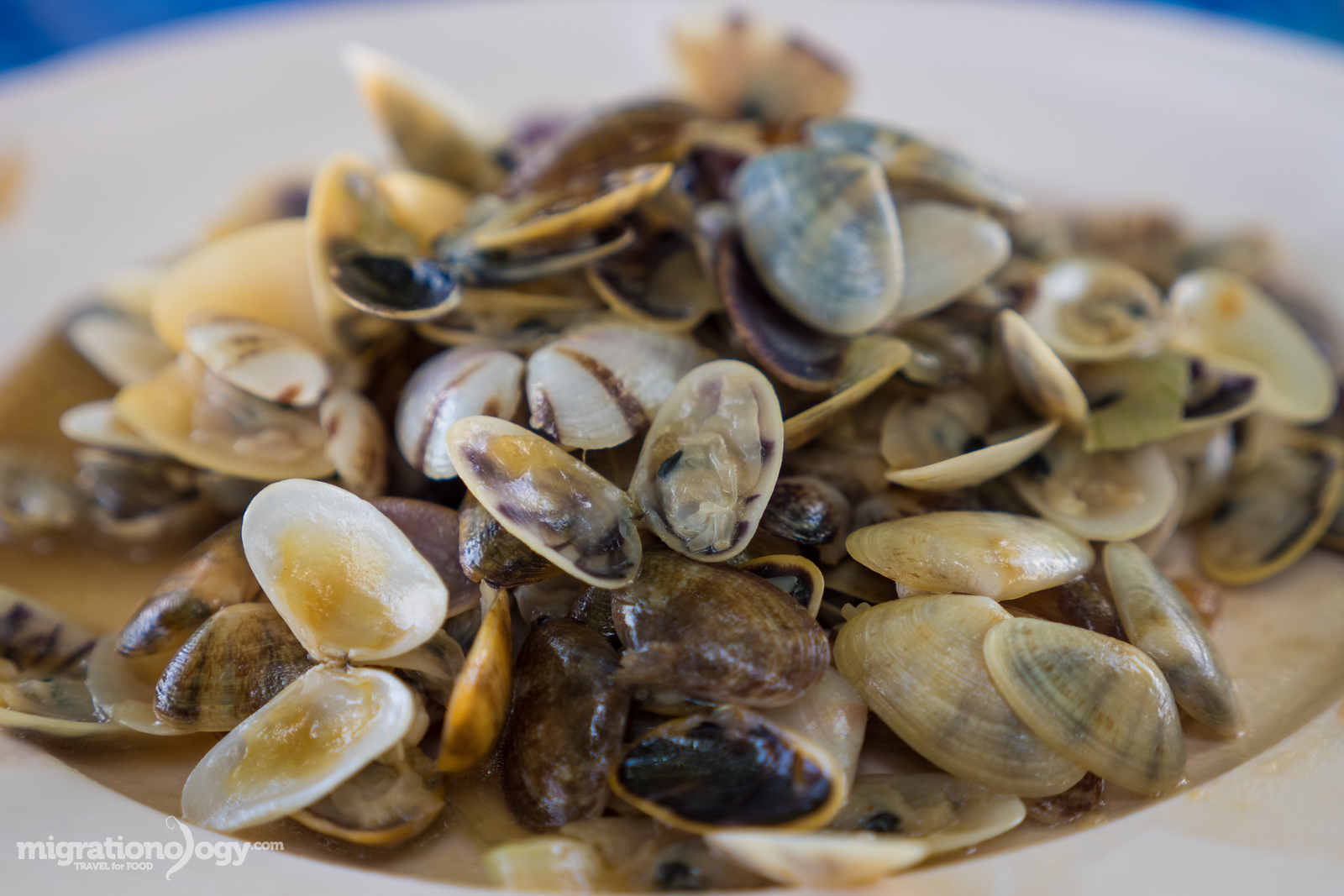 Thai mini clams