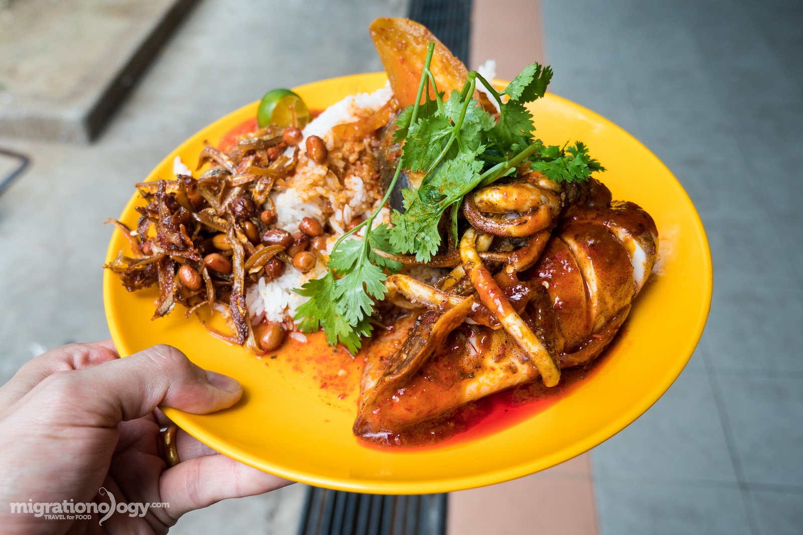 Singapore travel guide